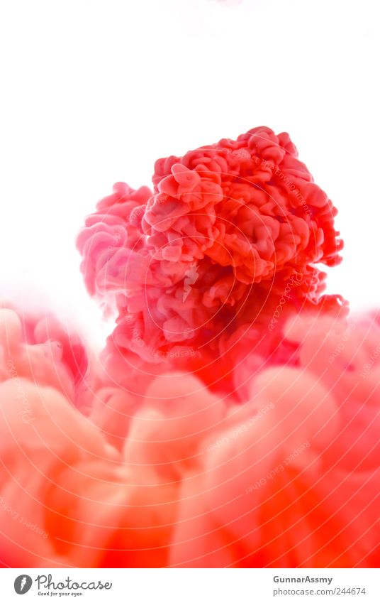 Panta rhei Wasser Rauch ästhetisch außergewöhnlich Flüssigkeit gigantisch Unendlichkeit schön rosa rot beweglich Bewegung bizarr chaotisch Energie Farbe