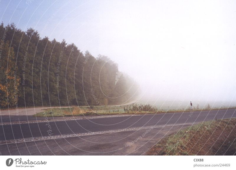 Morgennebel 3 Nebel Feld Einsamkeit Verkehr Straße Berge u. Gebirge Amerika Himmel