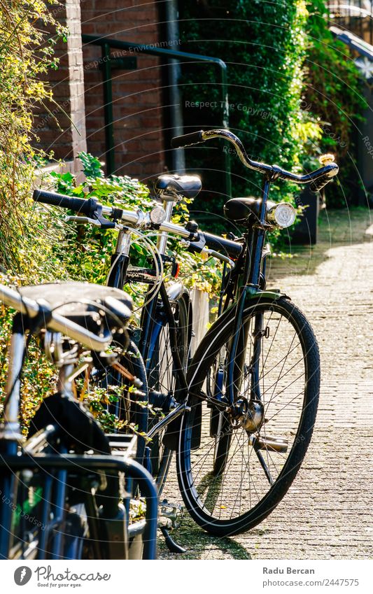 Fahrräder in der Nähe von niederländischen Häusern in Amsterdam City Ferien & Urlaub & Reisen Tourismus Haus Fahrradfahren Herbst Schönes Wetter Kleinstadt