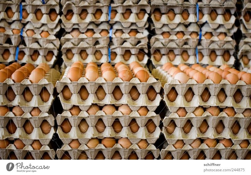 ...und sonntags auch mal zwei Lebensmittel Frühstück viele Ei Eierkarton Eierverkäufer Eierproduktion Massentierhaltung Stapel Markt Markthalle Marktstand