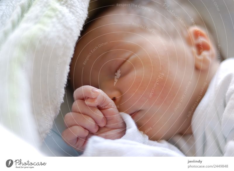 Neugeborenes Mädchen im Aufnahmebett schlafend schön Haut Gesicht Medikament Leben Kind Krankenhaus Baby Frau Erwachsene Familie & Verwandtschaft Kindheit 1