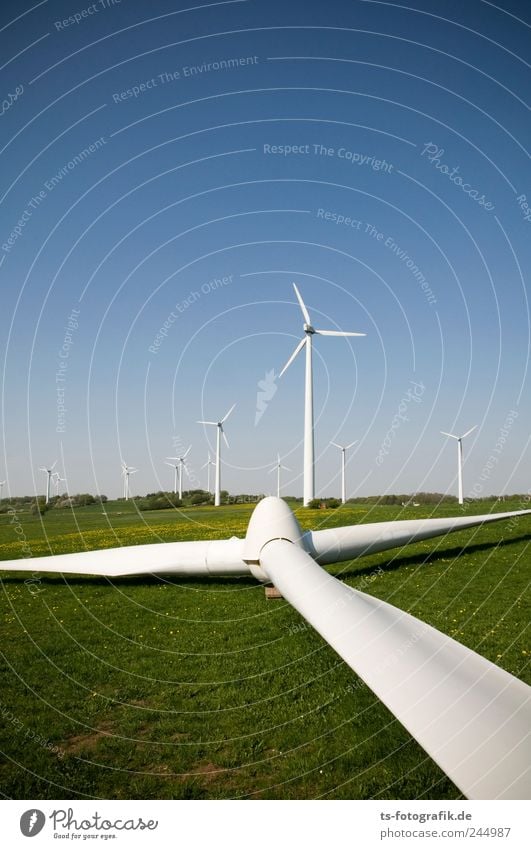 Spargelernte Technik & Technologie Energiewirtschaft Erneuerbare Energie Windkraftanlage Energiekrise Umwelt Natur Landschaft Urelemente Erde Luft Horizont