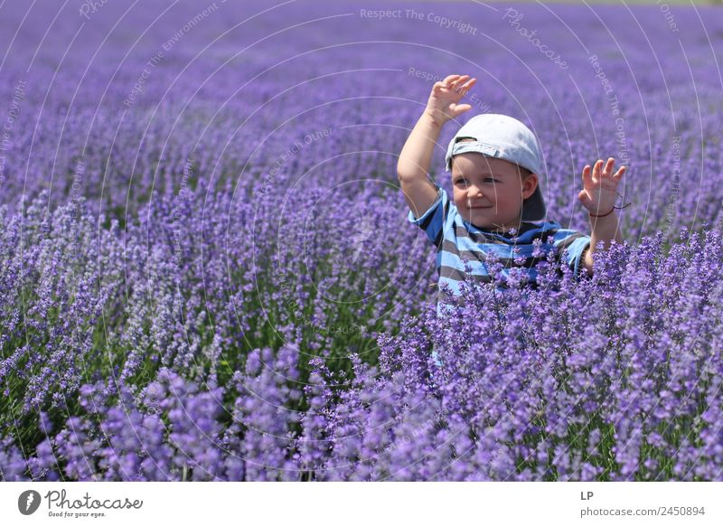 Lavendel-Freiheit Lifestyle exotisch Freude Duft Freizeit & Hobby Muttertag Kindererziehung Bildung Mensch Baby Geschwister Familie & Verwandtschaft Kindheit