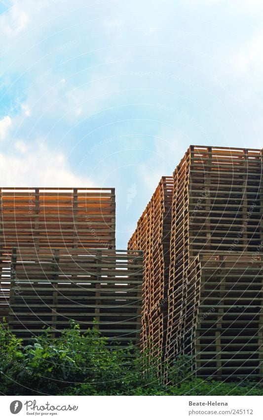 Im Reich der Hochstapler Himmel Stadt Mauer Wand Kasten Container Holz bauen Bewegung Wachstum ästhetisch außergewöhnlich hoch blau braun grün Freude anstrengen