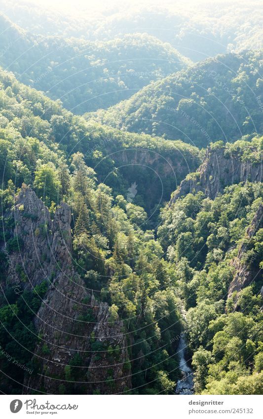 Hinter den sieben Bergen … Umwelt Natur Landschaft Sommer Klima Wetter Schönes Wetter Wald Felsen Berge u. Gebirge Harz Nordharz Bodetal Schlucht Fluss Thale