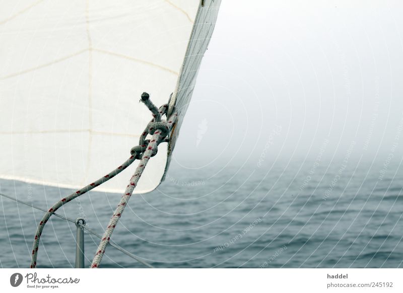 Nebel Segeln Meer Wassersport Wetter Wind Ostsee Schifffahrt Sportboot Jacht Segelboot Segelschiff bedrohlich blau weiß Tau Knoten Wellen Horizont