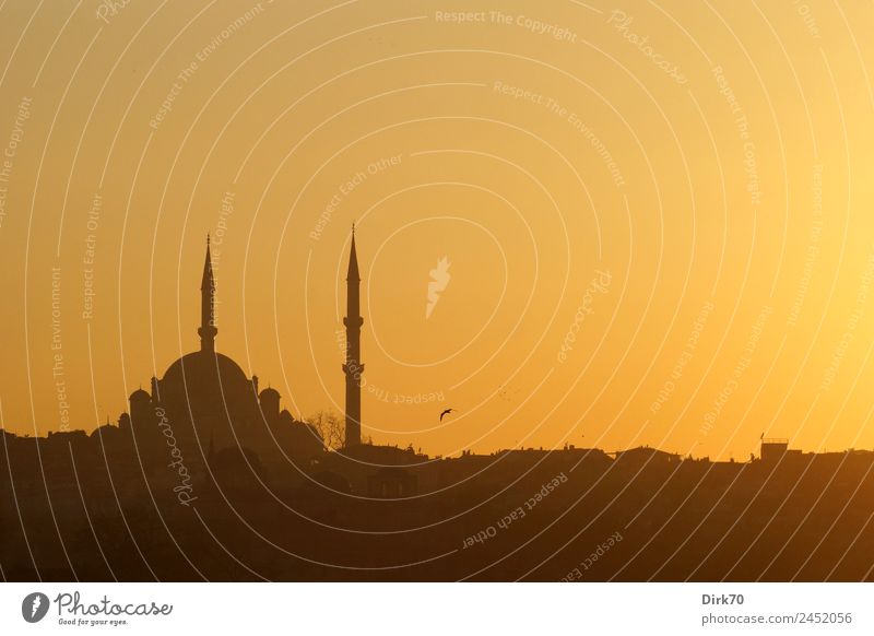 Moschee in Istanbul Ferien & Urlaub & Reisen Tourismus Ferne Städtereise Naher und Mittlerer Osten Kultur Wolkenloser Himmel Sonnenaufgang Sonnenuntergang