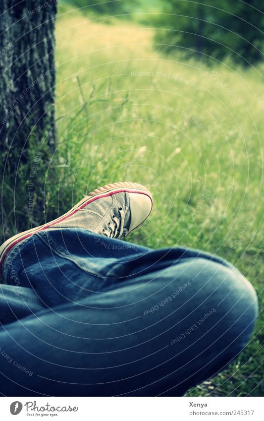 Auszeit Beine Fuß Baum Gras Park Jeanshose Turnschuh Erholung träumen blau grün Gelassenheit ruhig Freizeit & Hobby Pause Einsamkeit nachdenklich Farbfoto