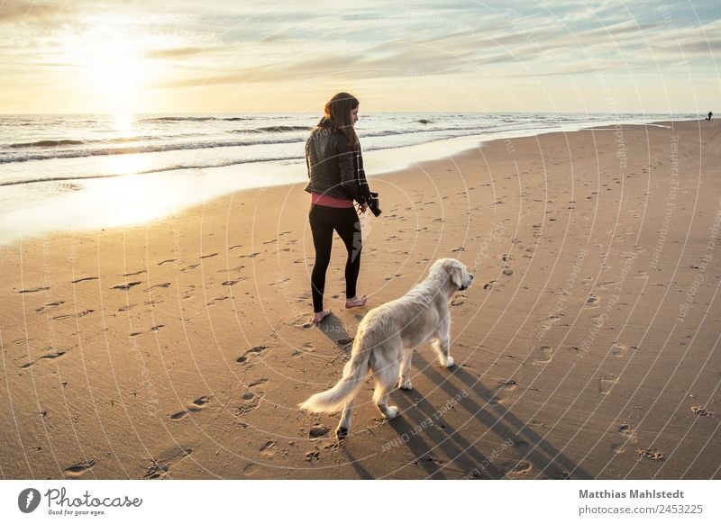 Strandspaziergang mit Hund Mensch feminin Junge Frau Jugendliche Erwachsene 1 18-30 Jahre Landschaft Sand Wasser Himmel Sonnenaufgang Sonnenuntergang Sommer