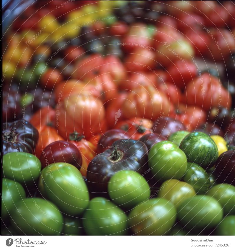 Vielfalt Lebensmittel Frucht Tomate Ernährung Bioprodukte Vegetarische Ernährung Slowfood außergewöhnlich einfach exotisch fest glänzend Billig gut einzigartig