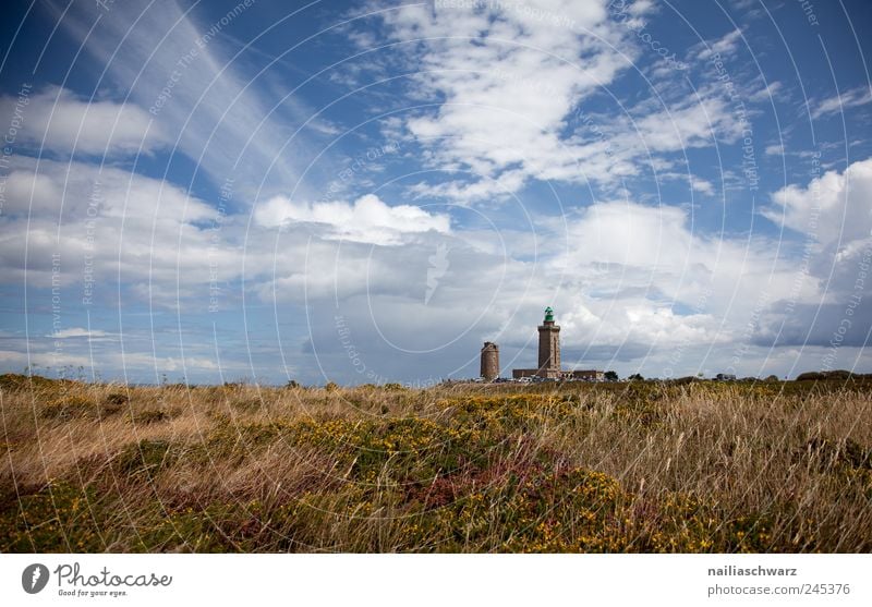 Cap Frehel Natur Landschaft Himmel Wolken Sommer Schönes Wetter Gras Sträucher Moor Sumpf Heide Europa Bauwerk Gebäude Leuchtturm Schifffahrt ästhetisch