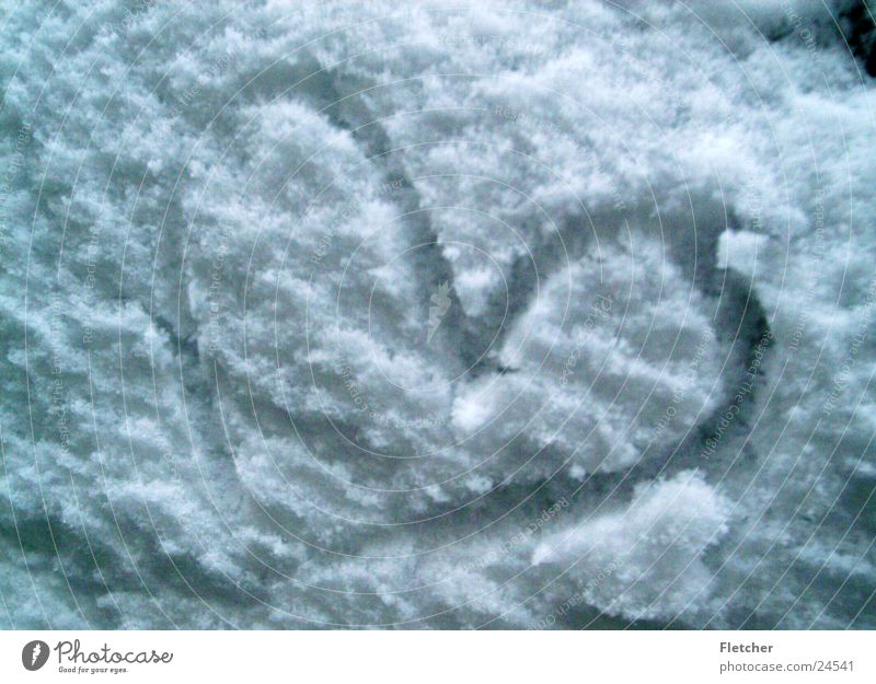 Schneeherz Flocke kalt weiß Herz Strukturen & Formen Liebe