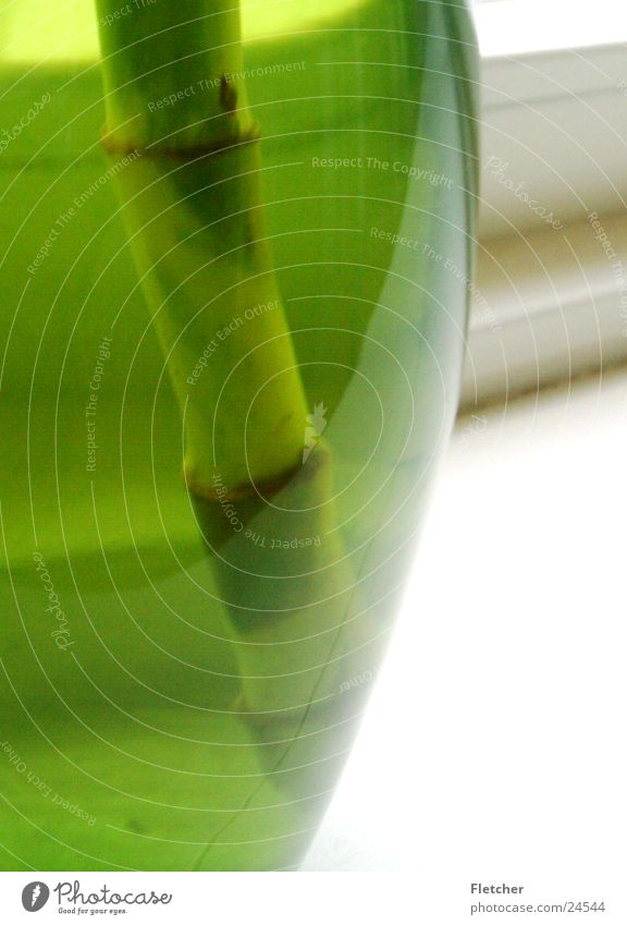 Vase Topf Pflanze grün Reflexion & Spiegelung rund durchsichtig Hälfte Häusliches Leben reflektion zeuch werch