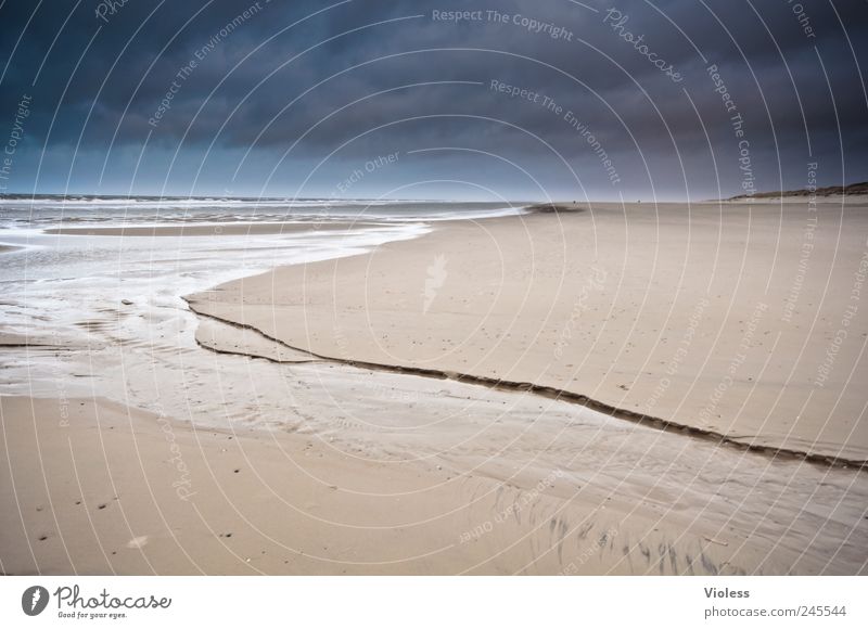 Spiekeroog | ...so far away Landschaft Sand Wasser Küste Strand Nordsee Insel entdecken Erholung Ferien & Urlaub & Reisen Ferne Farbfoto Außenaufnahme