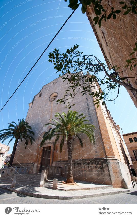 Sant Andreu Himmel Sommer Schönes Wetter Baum Palme Kleinstadt Stadtzentrum Kirche Gebäude Mauer Wand Fassade Sehenswürdigkeit alt ästhetisch historisch blau