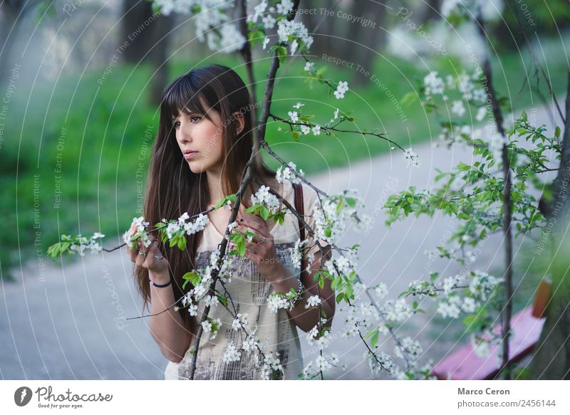 Romantisches kaukasisches Mädchen mit langen braunen Haaren in ruhiger Pose. Lifestyle schön Haare & Frisuren Maniküre Gesundheit Erholung Windstille Frau Natur