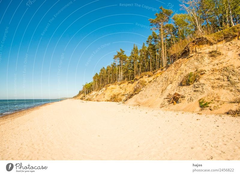 Strand an der polnischen Ostseeküste Ferien & Urlaub & Reisen Sand Riff Tourismus wild Düne Baum leer weit Einsamkeit Karibisches Meer Naturschutzgebiet