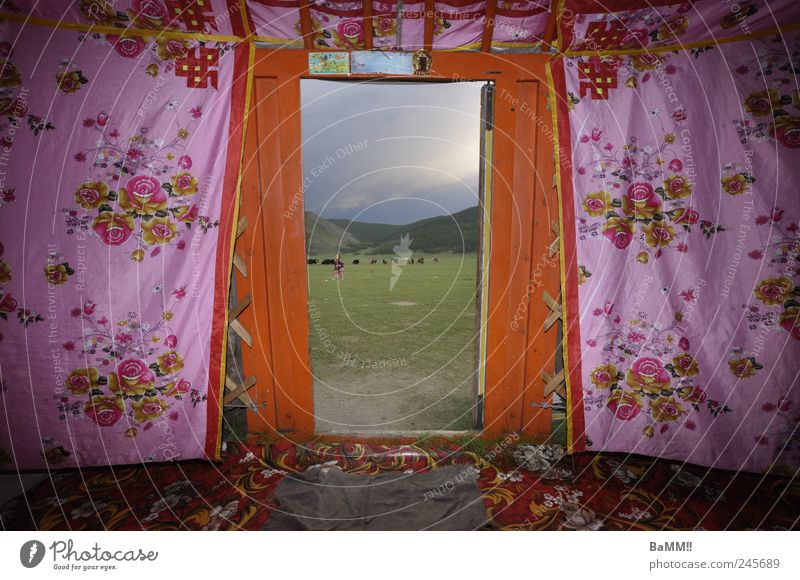 tür zur welt Abenteuer Ferne Häusliches Leben Dekoration & Verzierung Hügel Steppe Mongolei Hütte jurte Tür Fußmatte Herde Kitsch rosa Identität Nomaden
