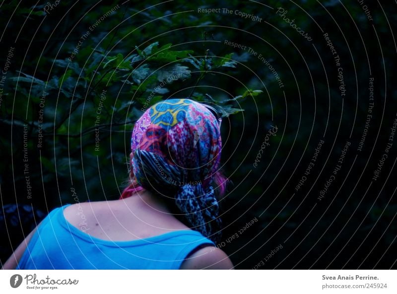 waldfrieden. Frau Erwachsene Kopf Rücken 1 Mensch Schönes Wetter Baum Blätterdach Blatt Park Top Kopftuch Accessoire Blick einzigartig Suche Farbfoto