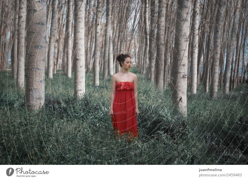 Mädchen in rotem Kleid im Wald elegant schön Frau Erwachsene Natur Landschaft Pflanze Baum Mode lang grün Gefühle Stimmung Beautyfotografie Kaukasier jung Dame