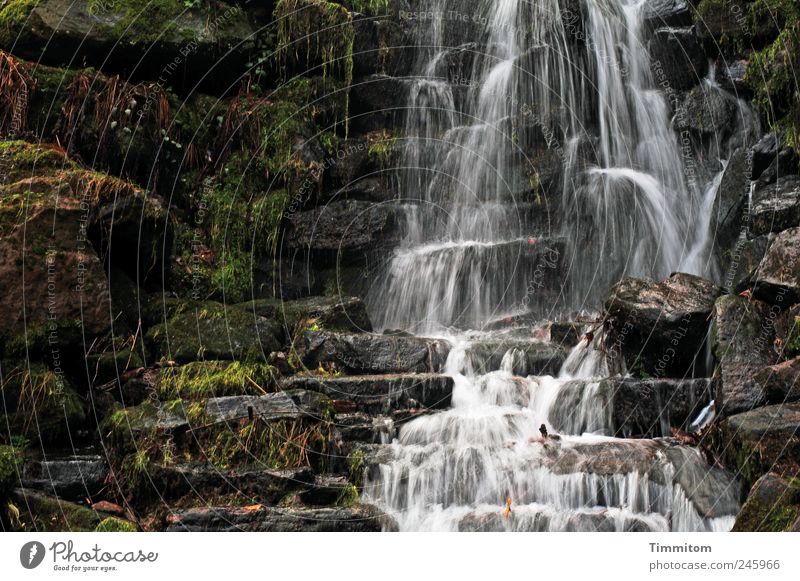 Kleine Entdeckungen (III): Das Wasser fällt! Umwelt Natur Sommer Park Wasserfall Menschenleer PE-Flaschen Stein ästhetisch Flüssigkeit kalt Gefühle Lebensfreude
