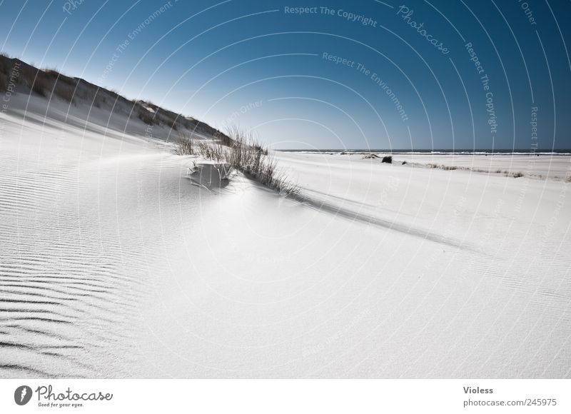 Spiekeroog | ...white silence Landschaft Sand Himmel Sonnenlicht Sommer Strand Nordsee Insel entdecken Erholung blau weiß Dünengras Stranddüne Farbfoto