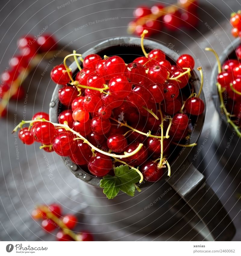 saftige rote Johannisbeeren im Becher aus Zink Obst Frucht Bioprodukte Lebensmittel Vegetarische Ernährung rund sauer grau grün gepflückt Ernte Foodfotografie
