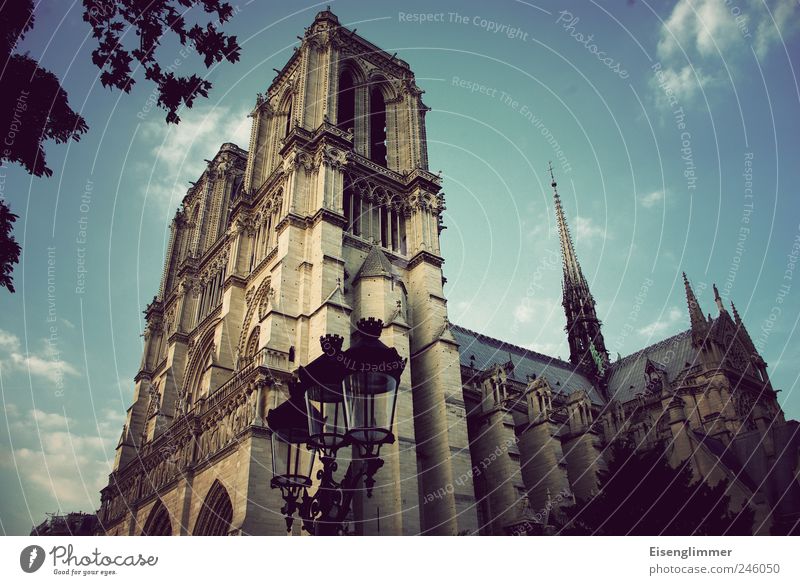 Notre Dame Paris Frankreich Bauwerk Architektur Kirche Sehenswürdigkeit Notre-Dame ästhetisch elegant geheimnisvoll Glaube Religion & Glaube Kultur Nostalgie