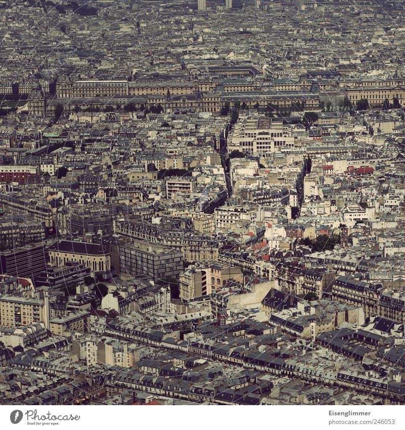 Paris im Quadrat Frankreich Europa Hauptstadt Altstadt Haus ästhetisch historisch hoch Kultur Nostalgie Luftaufnahme Farbfoto Gedeckte Farben Außenaufnahme