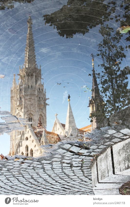 Matthiaskirche Budapest Ungarn, Spiegelung in einer Pfütze Sehenswürdigkeit Kirche Tourismus Sightseeing Städtereise Kirchturm Glaube Religion & Glaube