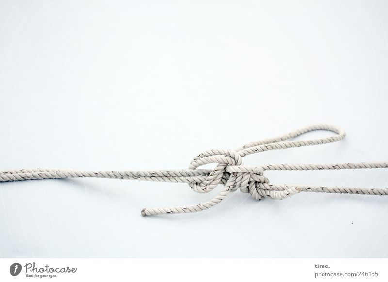Auf Spannung Seil Schifffahrt Knoten ästhetisch bizarr Ordnung Textilien Verbindung halten Zweck Funktion Farbfoto Gedeckte Farben Außenaufnahme Detailaufnahme
