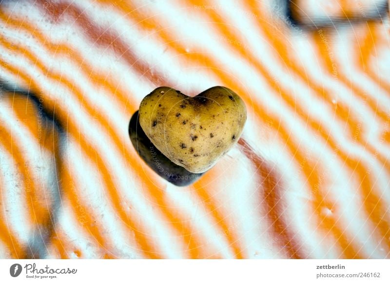 Kartoffel aus Herz Lebensmittel Frucht Ernährung Bioprodukte Vegetarische Ernährung Garten Pflanze Nutzpflanze Zeichen Liebe Gefühle Sympathie Freundschaft