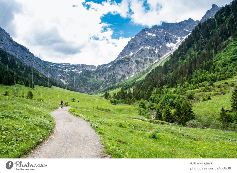 Wanderweg durch ein Tal in Südtirol Tag Schönes Wetter Wolken Natur grün Baum Wald Berge u. Gebirge Idylle Ferien & Urlaub & Reisen Reisefotografie wandern