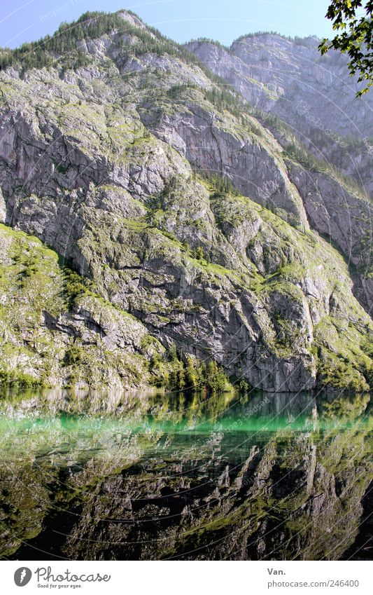 Berg-See Zufriedenheit Erholung ruhig Ferien & Urlaub & Reisen Ausflug Sommer Berge u. Gebirge Natur Landschaft Schönes Wetter Gras Sträucher Felsen Alpen