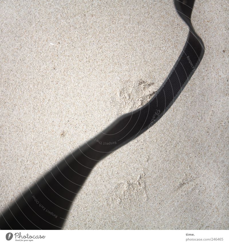Oops! Strand Sand Linie Bewegung dunkel hell Kameragurt diagonal Farbfoto Gedeckte Farben Außenaufnahme Detailaufnahme Muster Strukturen & Formen Menschenleer