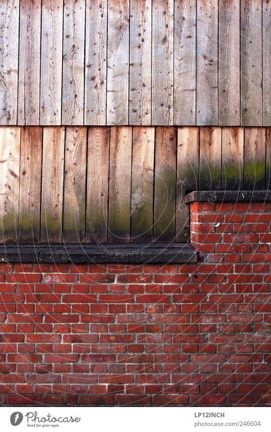 50/50 Lüneburg Kleinstadt Altstadt Mauer Wand Holz Backstein rot Balken Sitzgelegenheit Farbfoto Außenaufnahme Textfreiraum oben Textfreiraum Mitte Tag