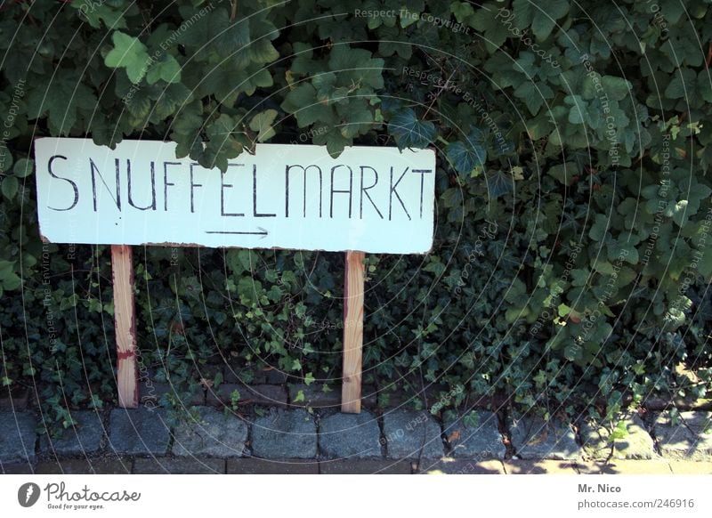 ohne worte Pflanze Sträucher Blatt exotisch Markt Straßenrand Schilder & Markierungen Hinweisschild Niederlande Tourismus Typographie Flohmarkt Außenaufnahme