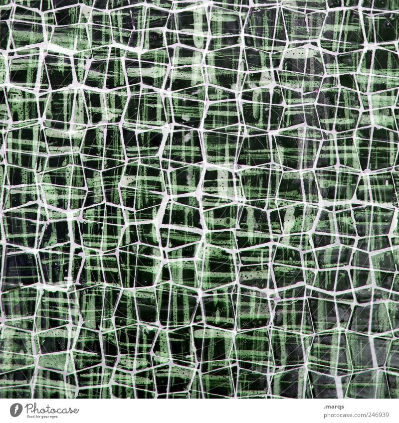 Net Stil Design Mauer Wand Zeichen Linie Netzwerk außergewöhnlich viele verrückt grün chaotisch einzigartig verbinden Verbindung Mosaik Farbfoto Nahaufnahme