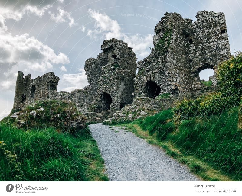 Irland - Rock of Dunamase Ferien & Urlaub & Reisen Tourismus Ausflug Ferne Sightseeing Sommer Sommerurlaub Landschaft Himmel Wolken Frühling Schönes Wetter