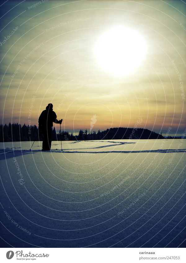 Winter Freizeit & Hobby Abenteuer Schnee Winterurlaub Sport Skifahren Skipiste Mensch maskulin Mann Erwachsene 1 Umwelt Natur Landschaft Himmel Wolken Sonne
