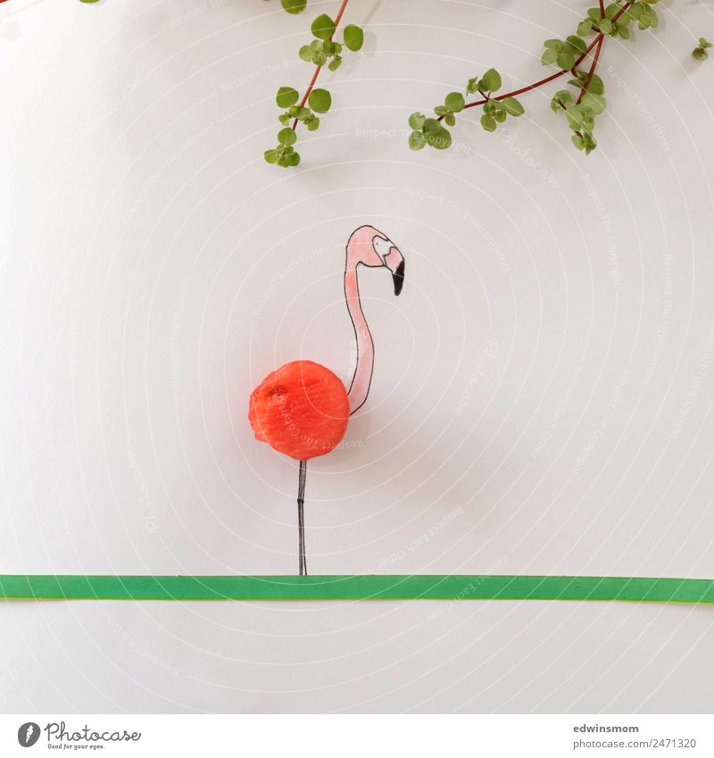 Summer vibes Frucht Melonen Freizeit & Hobby zeichnen Sommer Blatt Wildtier Flamingo 1 Tier Papier Dekoration & Verzierung stehen warten Fröhlichkeit lecker