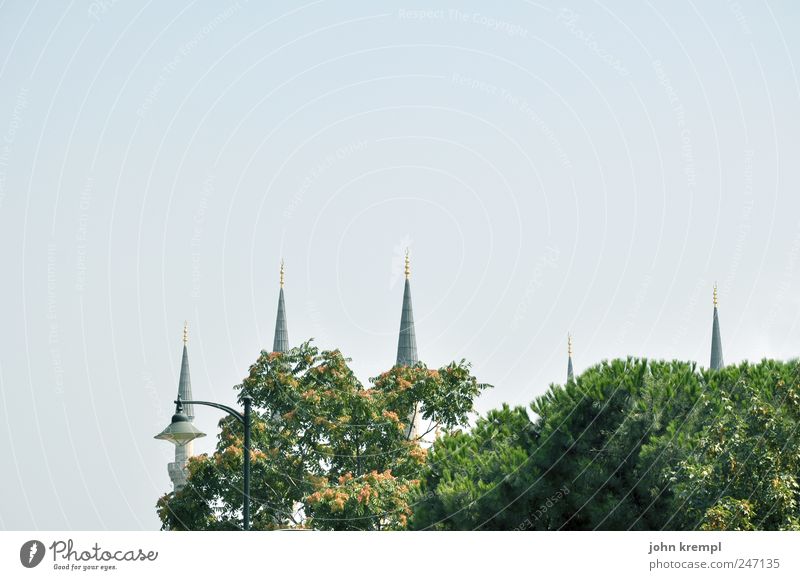 moscheu Istanbul Türkei Stadtzentrum Bauwerk Gebäude Minarett Sehenswürdigkeit Wahrzeichen Blaue Moschee sultan ahmed camii alt Bekanntheit blau grün Glaube