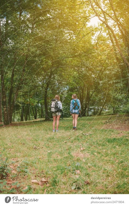 Zwei Freundinnen mit Rucksäcken, die im Wald stehen. Lifestyle Freude Glück Freizeit & Hobby Ferien & Urlaub & Reisen Ausflug Abenteuer Camping Sommer