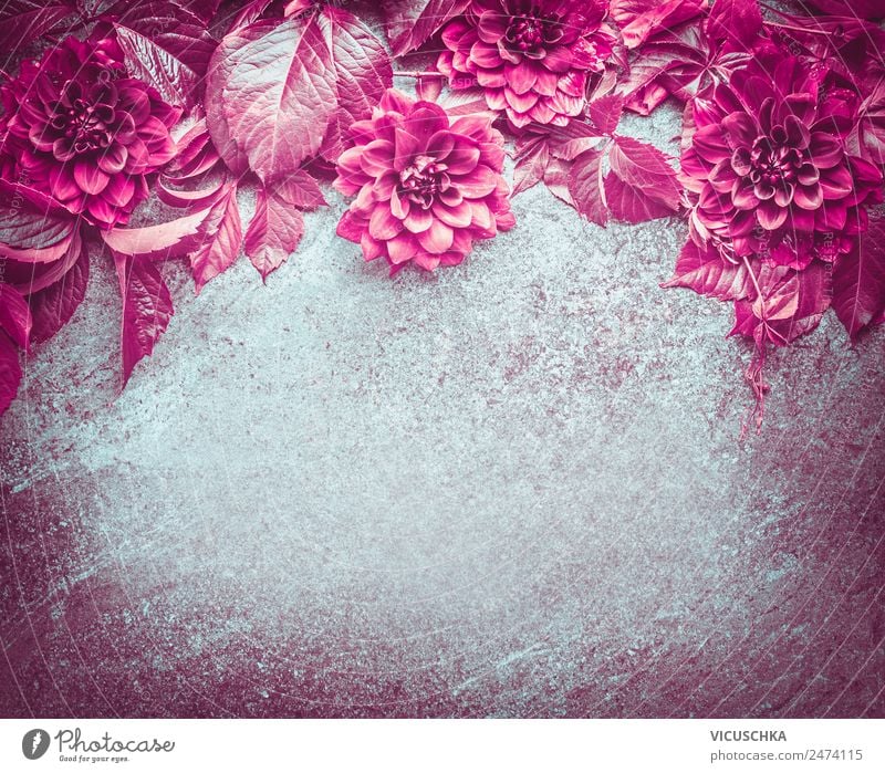 HintergrundRahmen mit magenta Blumen und Blättern Stil Design Natur Pflanze Blüte Dekoration & Verzierung Blumenstrauß Ornament retro rosa Composing