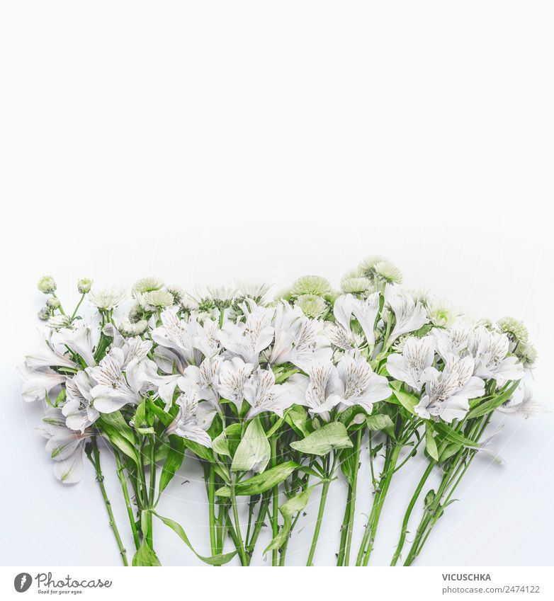 Weiße Blumen auf weiß Stil Design Garten Feste & Feiern Muttertag Hochzeit Geburtstag Natur Pflanze Blatt Blüte Dekoration & Verzierung Blumenstrauß
