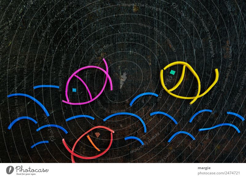 Gummiwürmer: Fische im Wasser Wellen Teich Tier Haustier Nutztier Wildtier 3 blau gelb rot schwarz See Kreis Collage Kreativität Im Wasser treiben nass Meer