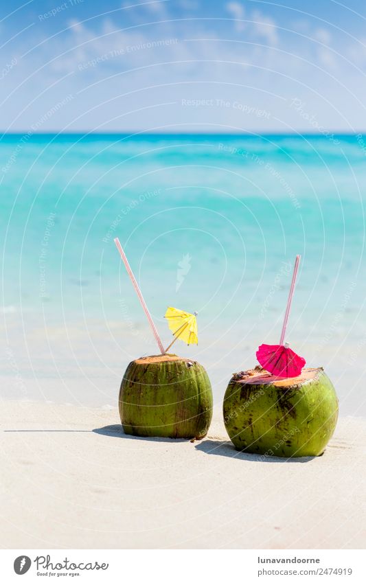 Kokosnussgetränke an einem karibischen Strand Frucht Getränk Alkohol Ferien & Urlaub & Reisen Sommer Meer Natur Landschaft Himmel Küste frisch blau grün türkis