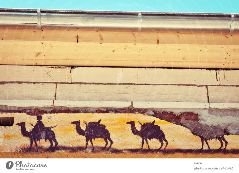 Dakar 2011 Stil Design wandern Haus Himmel Gebäude Mauer Wand Fassade Dachrinne Tier Herde Graffiti Streifen alt dreckig kaputt trist trocken Wärme gelb Verfall