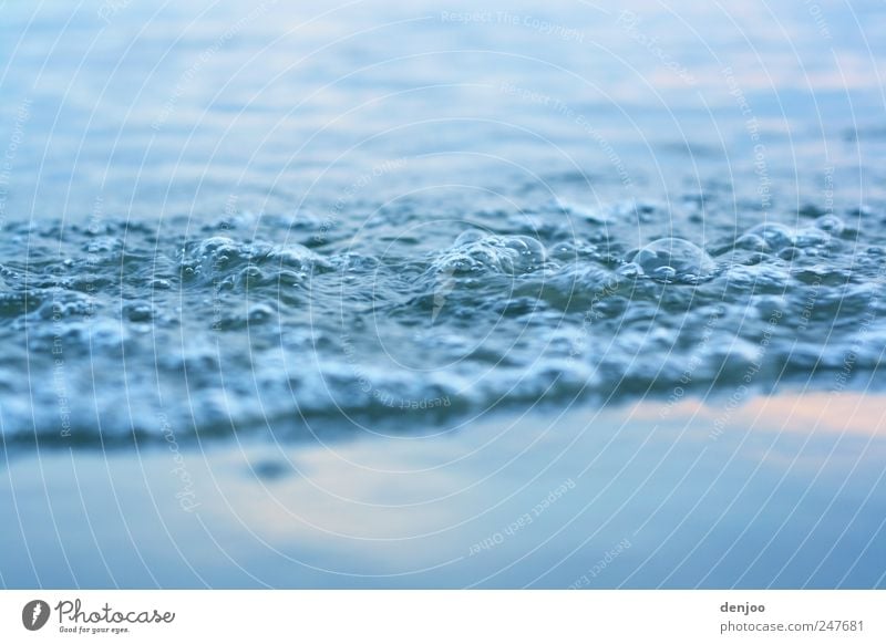 Wasserstand Strand Meer Wellen Umwelt Natur Wassertropfen Sommer Küste Flussufer Stadtrand Menschenleer Sand Tropfen Schwimmen & Baden Bewegung entdecken Blick