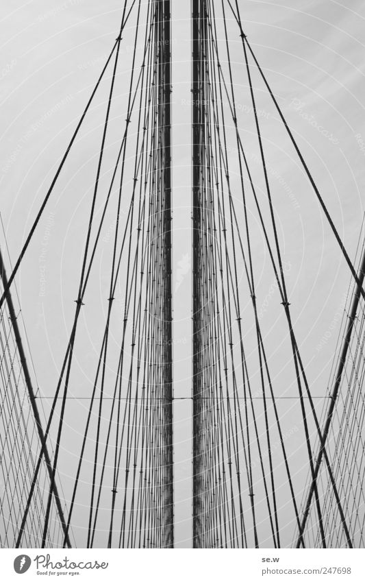 Escape Menschenleer Brücke Seil Haken Netz Brooklyn Bridge Metall Linie fangen Ferien & Urlaub & Reisen ästhetisch gigantisch grau Tunnelblick Grenze netzartig